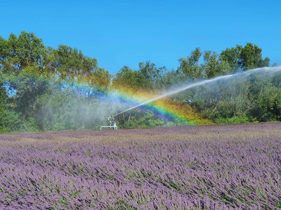 L'Ardeche En Provence Avec Jardin Ombrage Villa Pont-Saint-Esprit Exterior foto